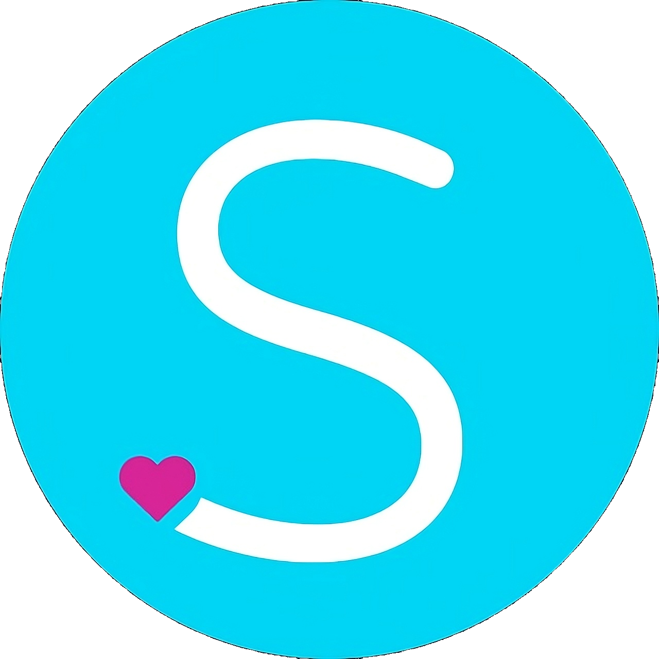 Silhouette Experts Logo